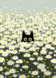 ヒナギクの草原の黒猫
