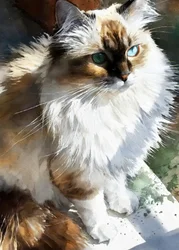 瞳の輝く水彩画の猫