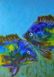 鮮やかな熱帯魚
