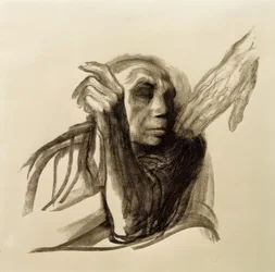 Kathe Kollwitz、死の呼び声