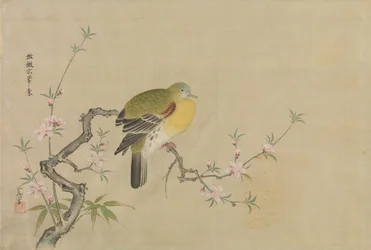 中国絵画模写アルバム 17世紀