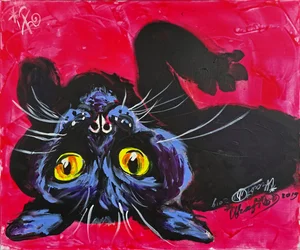 好奇心旺盛な黒猫