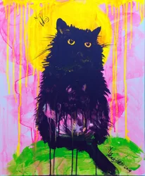神秘的な黒猫