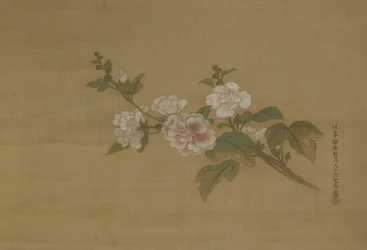 開花ハイビスカスの枝、江戸時代（絹の色）
