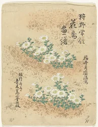 索引 狩野常信 花鳥画（シリーズ名） 狩野常信課長画譜