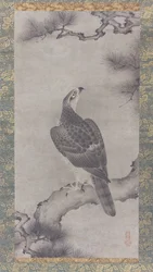 Pine Shoo zuのホーク、16世紀。