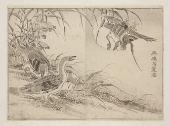 葦に棲む雁」（カラー木版画