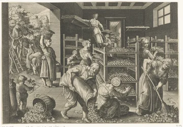 桑の葉を集めて蚕に餌をやる ヨーロッパの蚕と絹生産の紹介（連載タイトル） Vermis Sericus (オブジェクトのシリーズ タイトル)