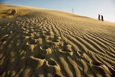 ウラン鉱山の鉱滓、2015年（写真）