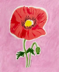 赤いポピーの花