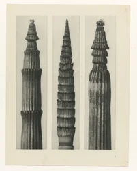 研究を計画する Archetypes of Art (シリーズタイトル)