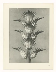 研究を計画する Archetypes of Art (シリーズタイトル)