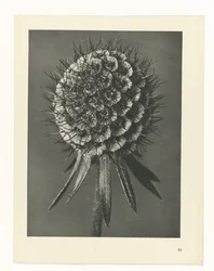 研究を計画する Archetypes of Art (シリーズタイトル)