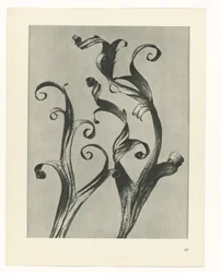 研究を計画する Archetypes of Art (シリーズタイトル)