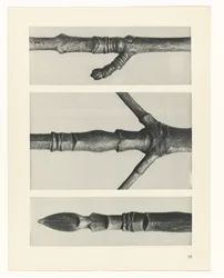 研究を計画する Archetypes of Art (シリーズタイトル)
