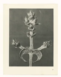 研究を計画する Archetypes of Art (シリーズタイトル)