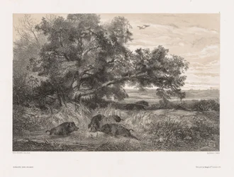 自然と動物と風景：池のイノシシc。 1850