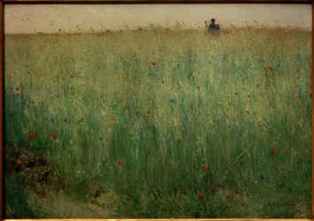 グレツ近くのオート麦畑