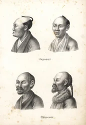 ちょんまげを結った日本人男性と、ひげを生やした中国人男性の胸像。一人は弁髪。カール・ヨーゼフ・ブロートマンによる、ハインリヒ・ルドルフ・シンツ著『人間と動物の図解博物誌』からの石版画