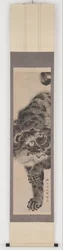 虎