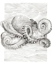 白黒のタコの線画