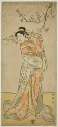 寛政5年(1793)正月、河原崎座で上演された『御前遊び相撲曽我』の女方・岩藤役の市川海老蔵（五代目團十郎）。