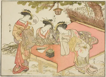 八田屋の娼婦 著書『清露美人合わせ姿鏡』より 1