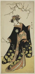 俳優の瀬川菊之丞三代目、女郎蜘蛛の精、1781年頃（カラー木版画、細版）