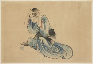 彼女のトイレに座っている女性