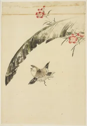 スズメとバナナの葉とピンク、1615-1868（紙にインクと色）