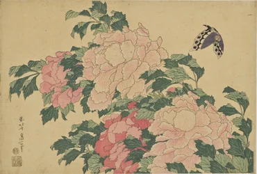 蝶と牡丹