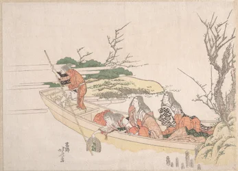 海藻の収穫