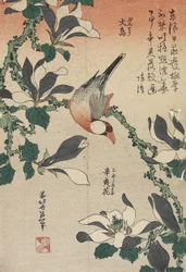ジャワすずめとマグノリア、c。 1832