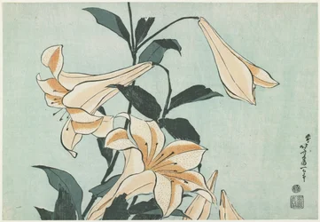 ユリ、1832年頃