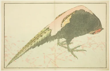 北斎写生画譜 雄キジ