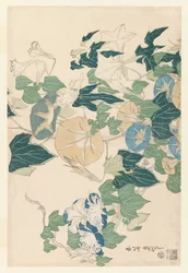 花とつぼみの朝顔、1830年頃（色木版画）