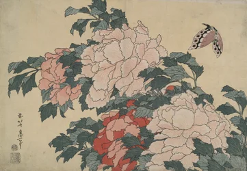 牡丹と蝶、無題の大きな花シリーズより