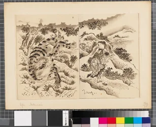 日韓戦の情景 18世紀末～19世紀前半 紙本墨画