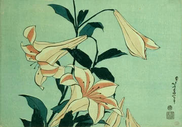 トランペットユリ（カラー木版画）