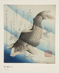 鯉の水揚げ（カラー木版画