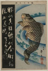 コイと水草、c。 1830年代初頭。