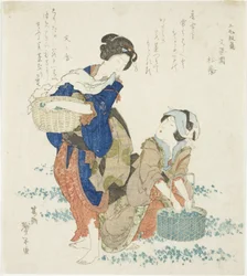 ハーブを集める 2 人の女性