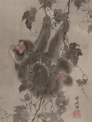 グレープバインからぶら下がっている猿、ca。 1887。