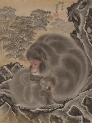 サル、1888年3月。
