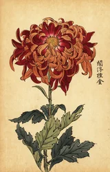 ハイブリッド オレンジと深紅の菊、1893 年 (彫刻)