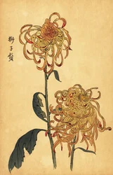 黄色とオレンジ色のハイブリッド クモ菊、1893 年 (彫刻)