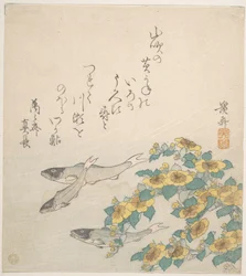 黄色い花と泳ぐ魚