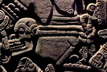 アメリカ大陸；考古学；メキシコ；マヨール神殿；アステカ大神殿；コヨルシャウキ、2010年（写真）
