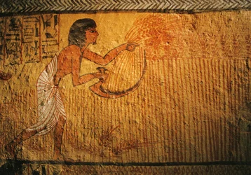 麦刈りの絵、セネデムの墓、デイル・エル・メディナ、2003年（写真）
