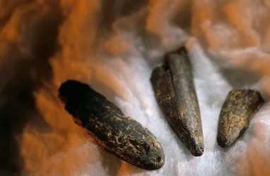 南ヨハネスブルグ近郊のドリモレアン遺跡から。